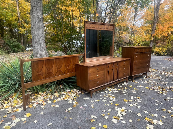 Broyhill Brasilia Bedroom Set